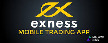 Understanding Exness Forex Liquidity Providers 13