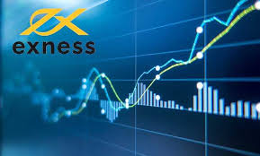Understanding the Exness Web Platform Features and Benefits